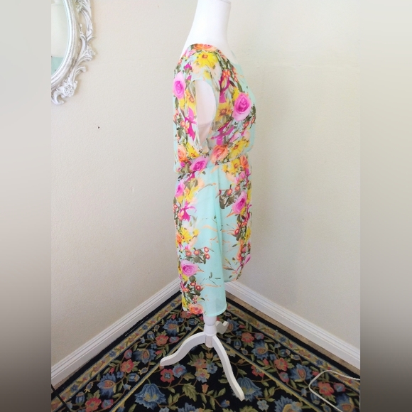 Triumph | Vintage Mint Green Floral Sheer High Low Dress - Picture 4 of 7